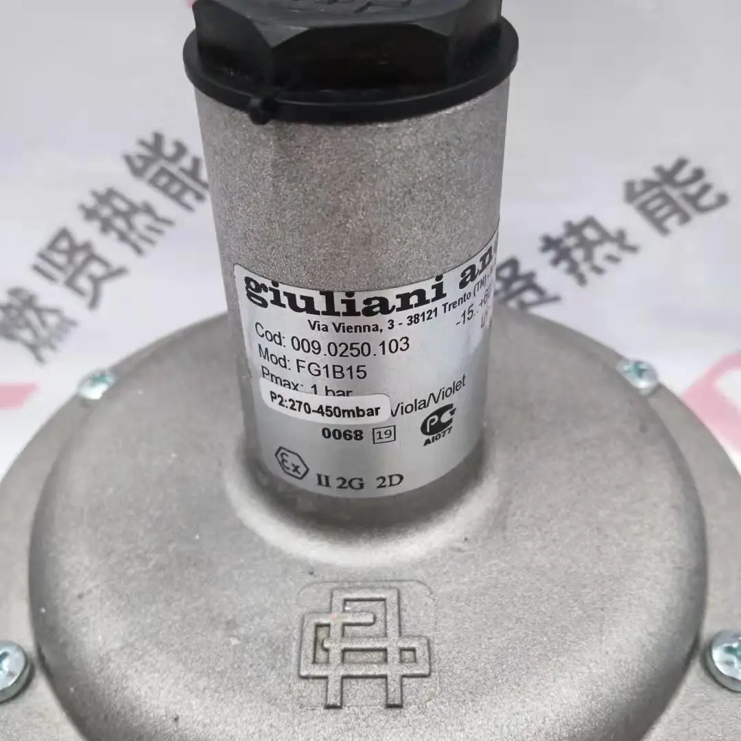 2025 20 in stock, Italy Giuliani, pressure reducing valve FG1B15 original new quality assurance one year