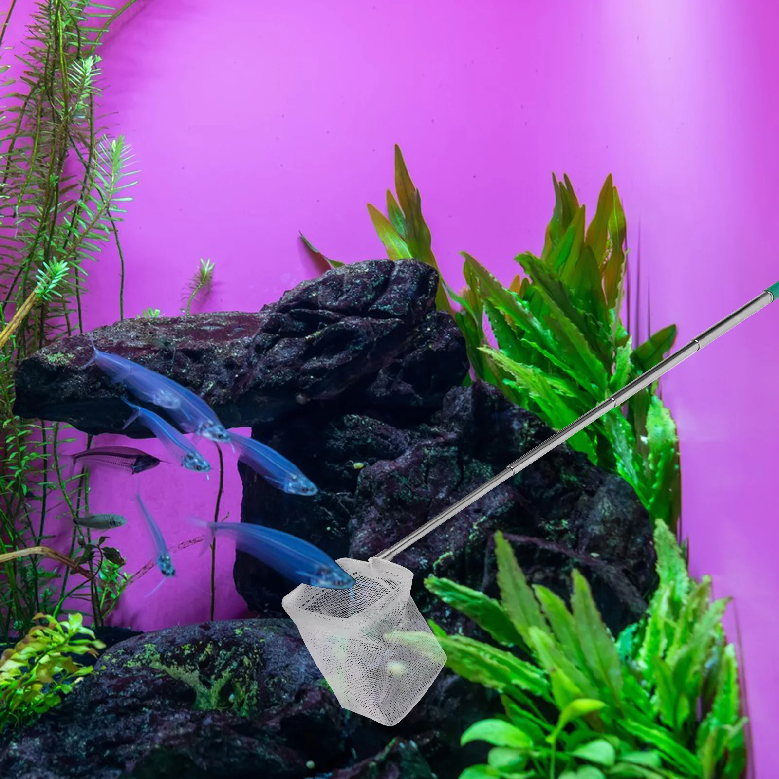 

Telescopic Shrimp Fishing Net Aquarium Tank Fine Mesh Green Square Extendable Small Fish Fry Catching Tool Stainless Steel Pole