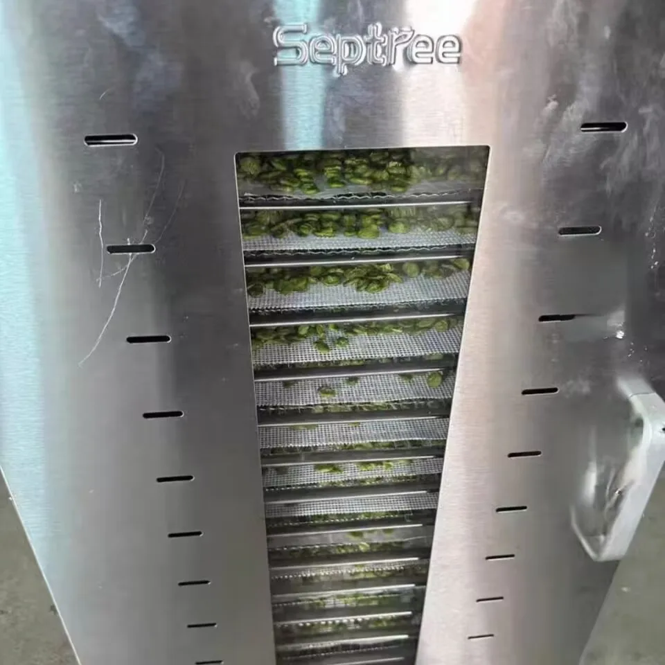 

Stainless Steel Food Dehydrator 16 Trays Commercial Dehydrators Dryer For Fruit Meat Beef Jerky With Adjustable Timer