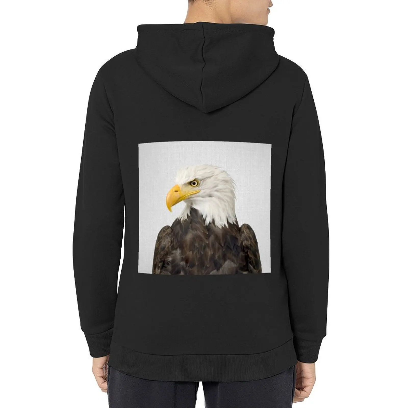 

Eagle - Colorful Hoodie men's clothing autumn clothes men clothing men's sweat-shirt tracksuits