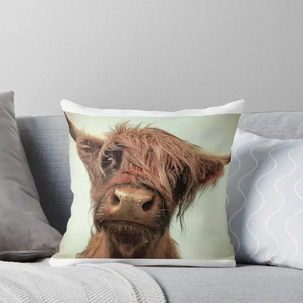 

Hairy Coo Throw Pillow Cushion Cover Luxury Decorative Cushion Cover Pillows Aesthetic christmas cushions covers pillow