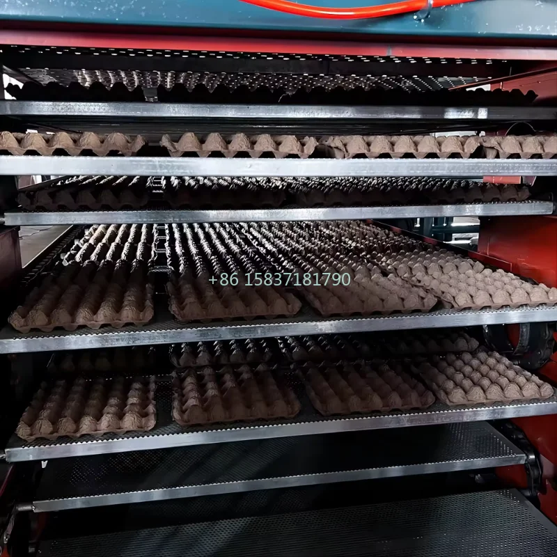 China Egg Tray Making Machine High Performance Semi Automatic Egg Tray Forming Machine Paper Egg Tray Machine for Zimbabwe