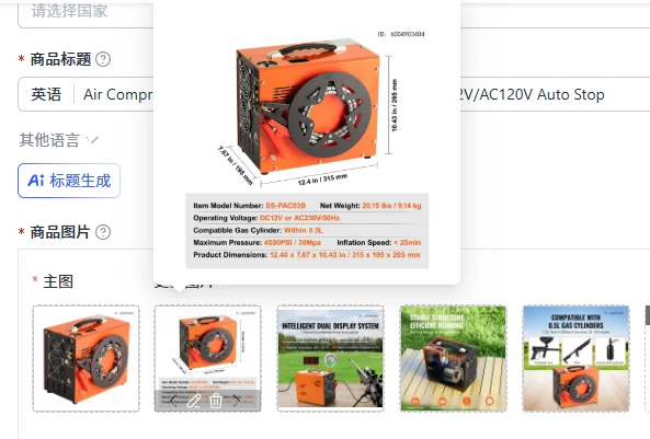 4500PSI/30Mpa Air Compressor with Built-in Converter DC12V/AC120V Auto Stop - Portable Electric Air Compressor for Inflation And