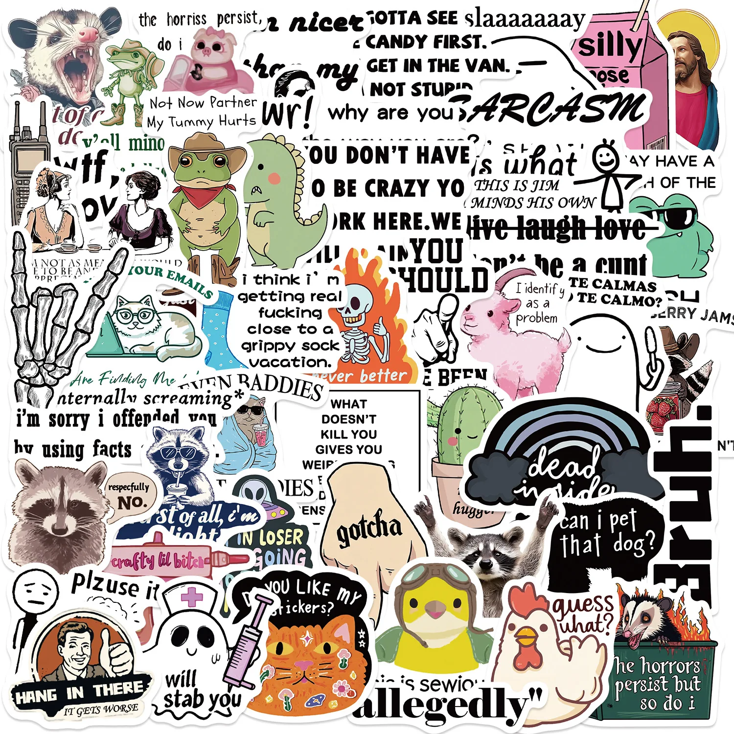 50/100PCS Funny Meme Stickers, Sarcastic Quotes Doodle Waterproof Vinyl Decals for Notebook, Guitar, Laptop, Suitcase, Journal