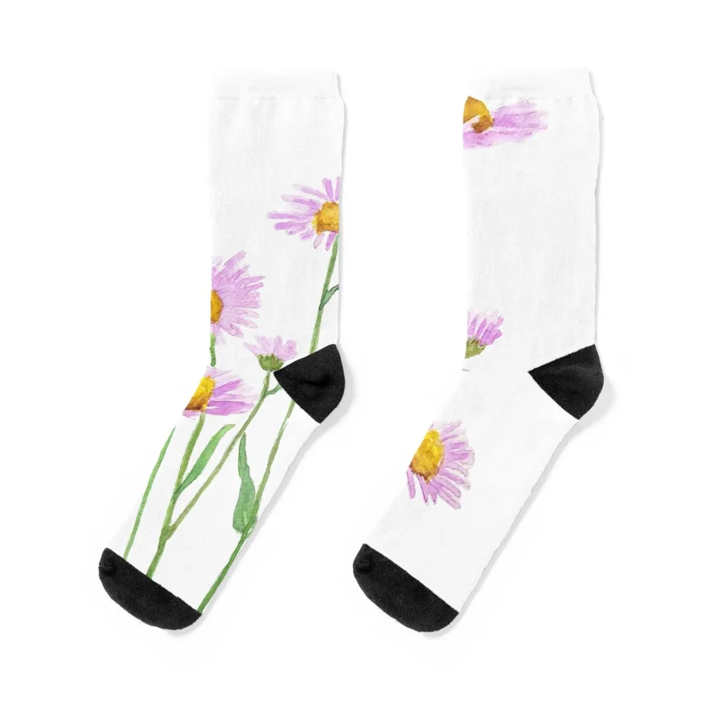 

hand painted little purple daisy watercolor Socks Stockings man sports stockings cartoon cotton Socks Man Women's