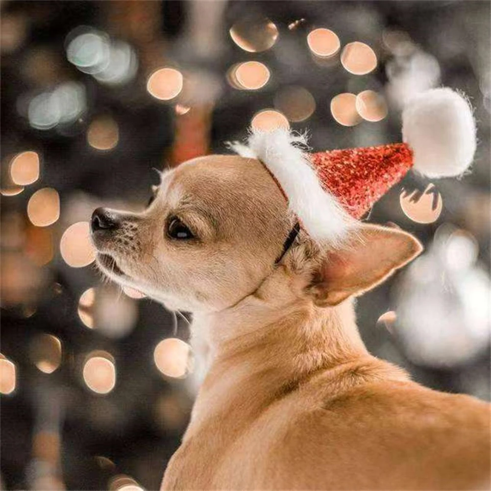

2 Pcs Dog Costume Pet Christmas Headdress Bow Tie Tag Tricorne Hat Collar Party Costumes Has