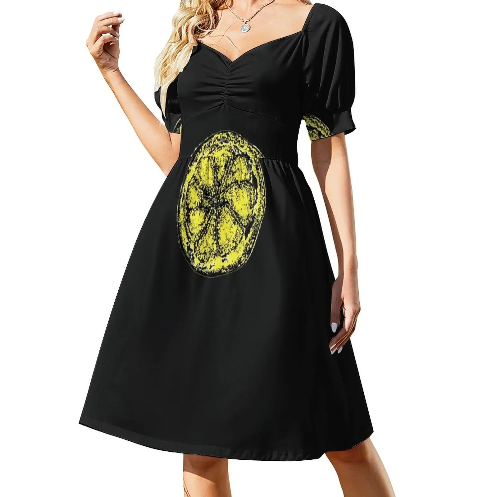 Lemon fress iconic Classic T-Shirt Short-Sleeved Dress summer woman dress 2025 dress for women 2025