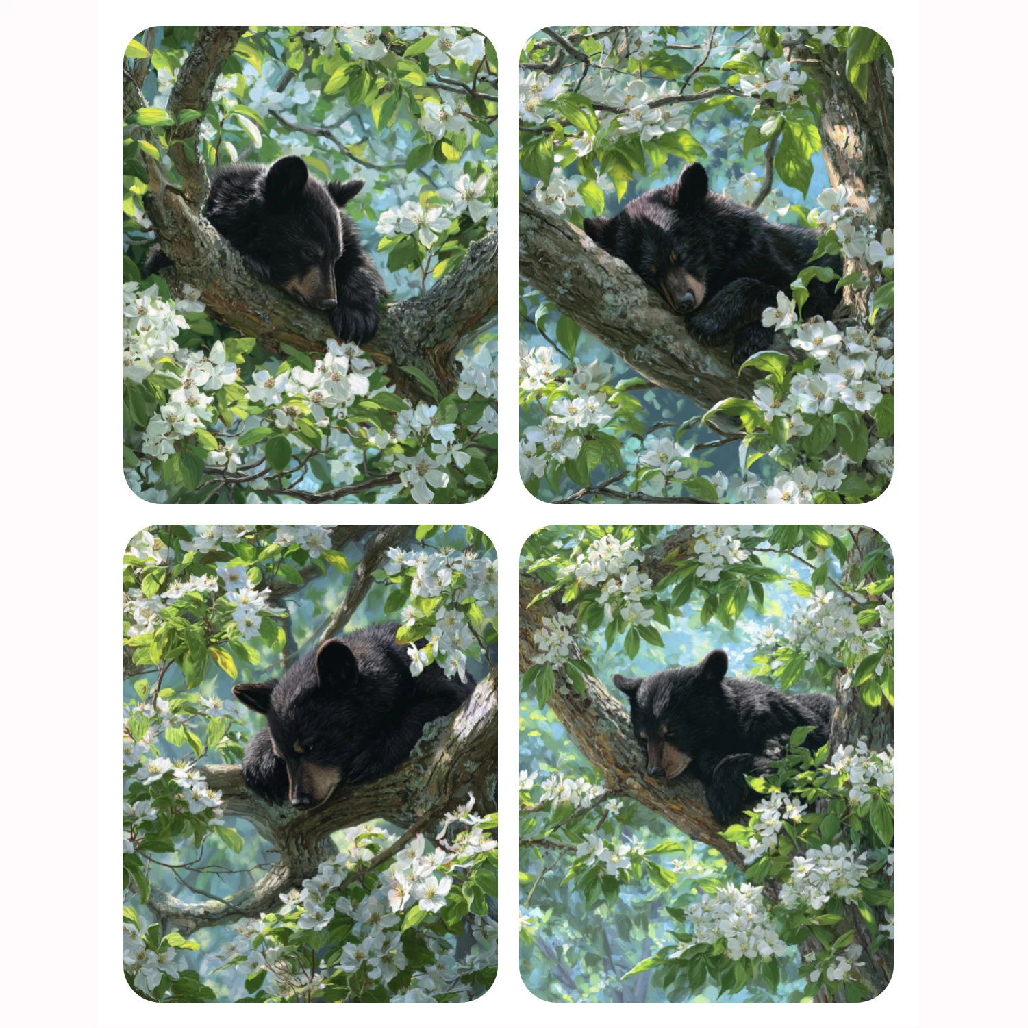 

Hand Paint Black bear sleeping in the tree Painting By Numbers Kit DIY Acrylic Artwork Canvas Art Gift Home