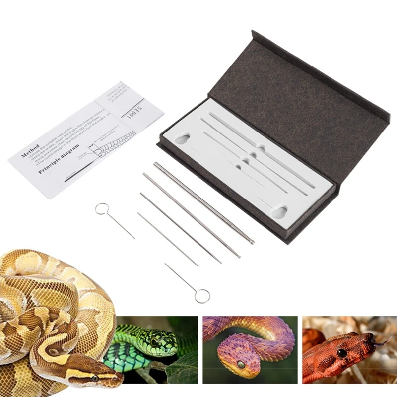 Snake Sex Probes Kit Reptile Gender Probes with Round Tip and Naturally  Metal Snake Gender Probes Tools