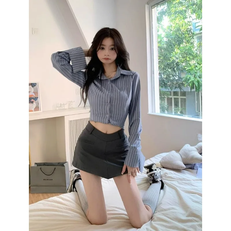 Blue Striped Long-sleeved Shirt Spring Autumn Design Slim Waist Top