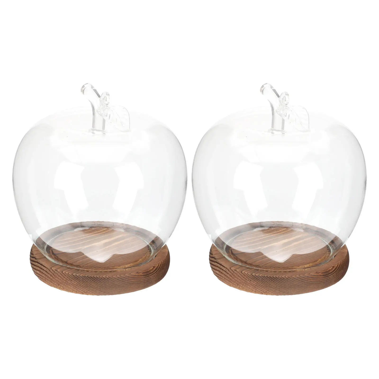 2Pcs Elegant Glass Dome Display with Wooden Stand Transparent Cloche for Plants Figurines Clay Art Dust Protection Shelf Decor