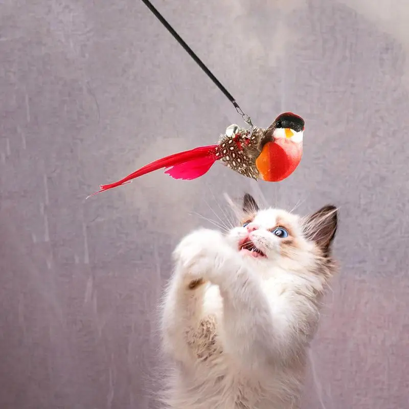 Cabezal de repuesto para gato divertido, palo de juguete de varios tipos, varilla de pluma, pájaros, Teaser, juguete para gatito, suministros para