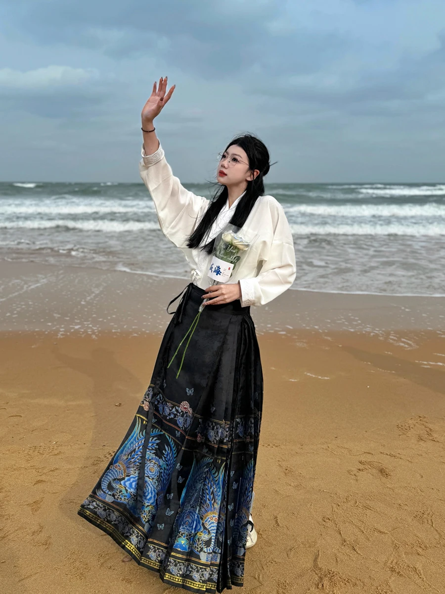 

Dr Tang Big Size Embroidered Phoenix Crown Hanfu Women's Skirt Simulated Kingfier Ming Dynas Sle Daily Wear Traditio...