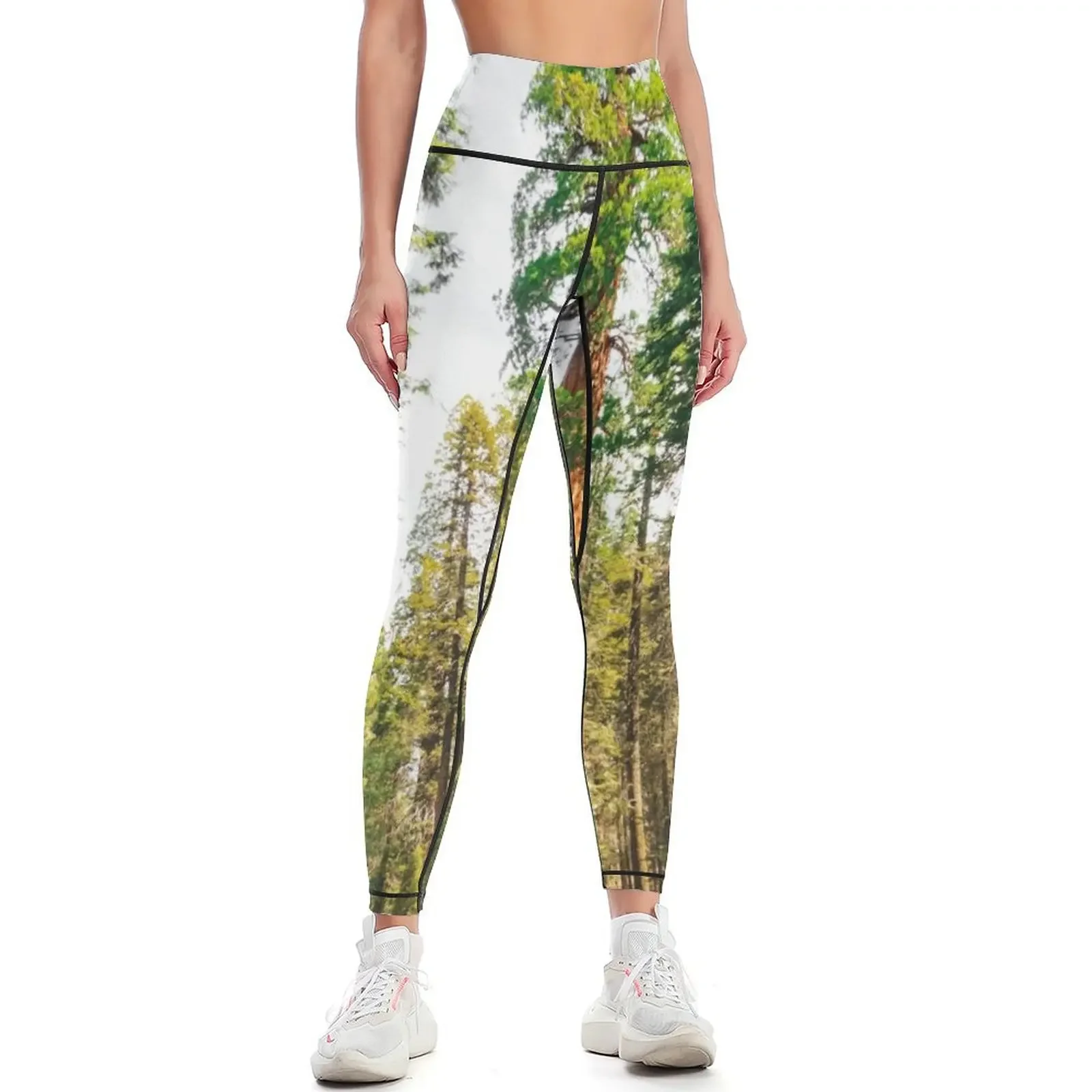 

sierra nevada tree Leggings gym's clothing sports tennis for sports for gym Womens Leggings