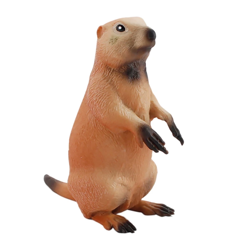 Simulation Forest Wild Animal Solid Model Groundhog Desktop Ornaments Early Education Cognitive Toys Children Gifts