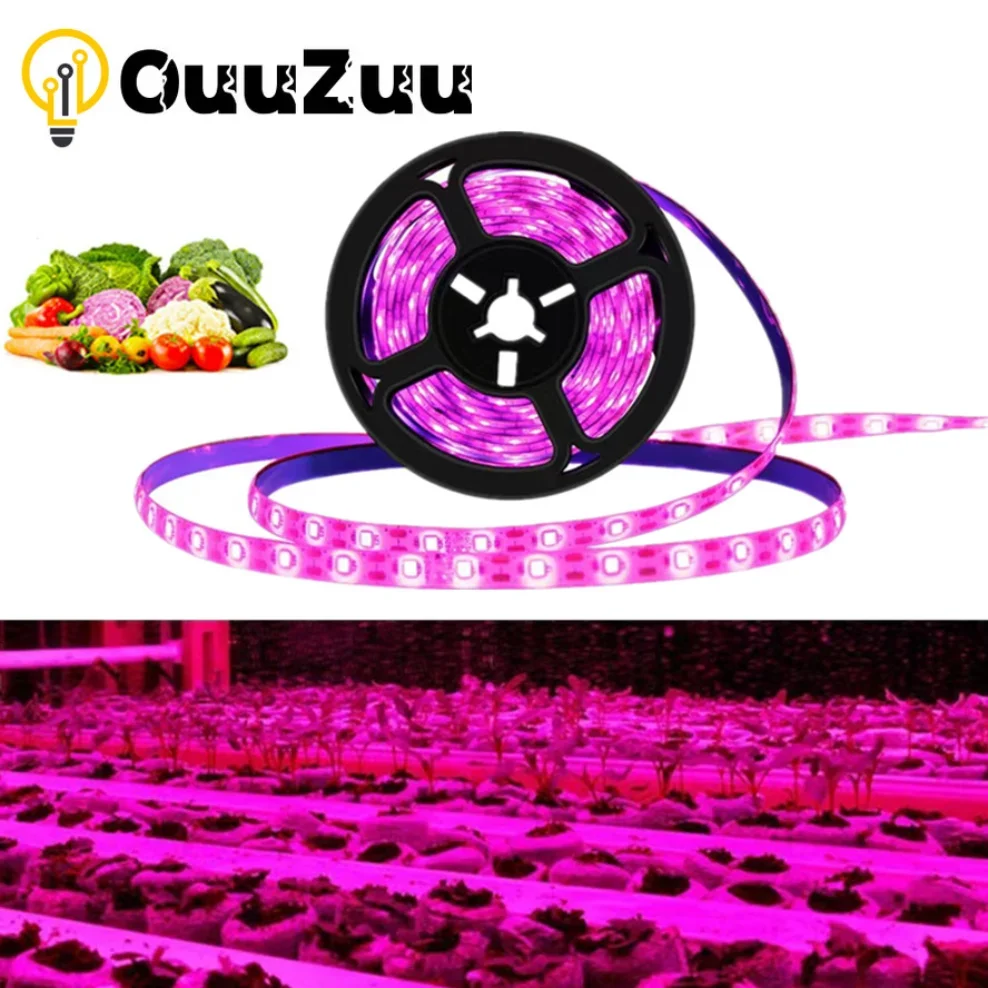 Luz LED de cultivo USB de 5V CC, espectro completo de 1-5m, tira de luces LED para cultivo de plantas, lámpara Phyto para plántulas de flores y verduras, caja para tienda de cultivo