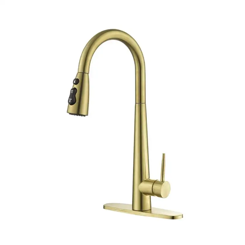 

Single Handle Stainless Steel Kitchen Faucet with Pull-Down Sprayer