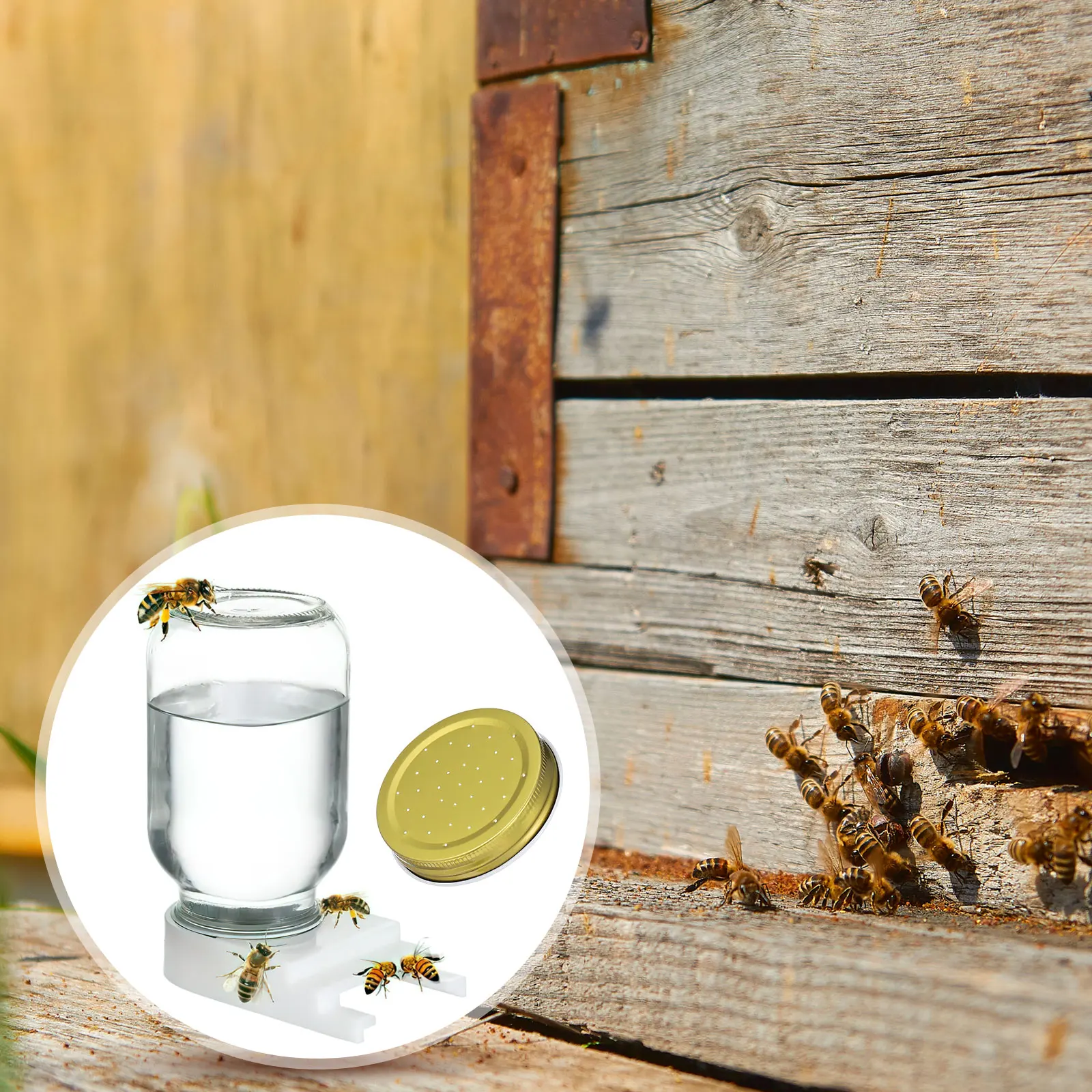 4 pezzi mangiatoia per acqua alveare legno non finito resistenza barattolo di vetro acquerelli per miele api dispositivo per bere ingresso portatile