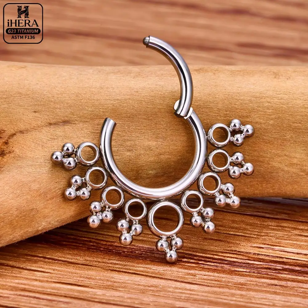 ASTM F136 Titanium Luxury CZ Inlaid Hinged Segment Ring Round Hoop Daith Helix Septum Piercing Jewelry Clicker Nose Ring Set view 3