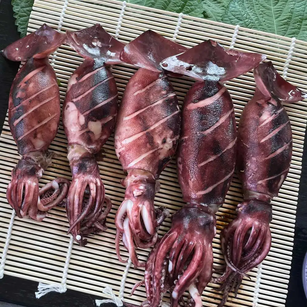 [Deal Pick] Calamar entero para estofado estofado, 8-14 piezas, 1 kg