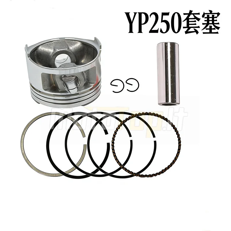 Pistons And Piston …