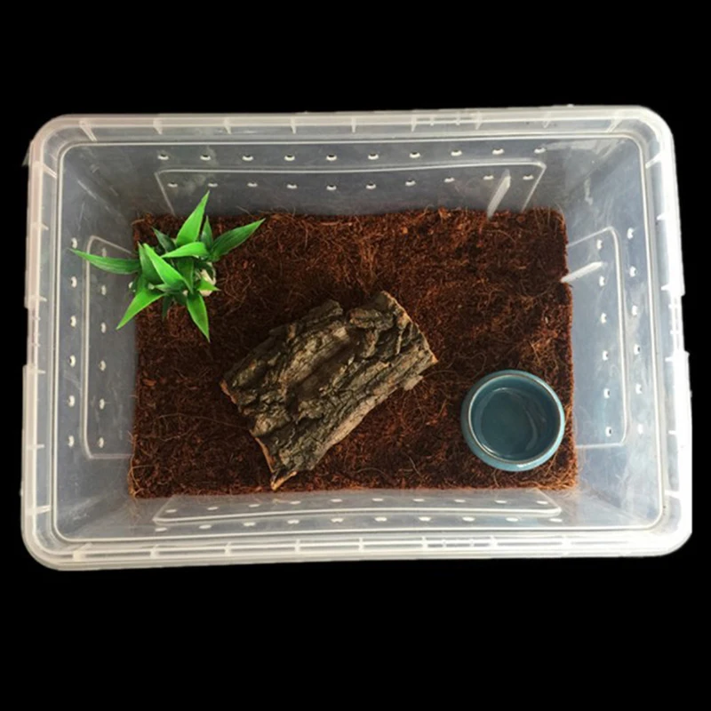 Reptile Snake Feeding Box Transparent Spider Habitat Cage Portable Turtle Container Breeding Box For Lizard Frog Scorpion Gecko