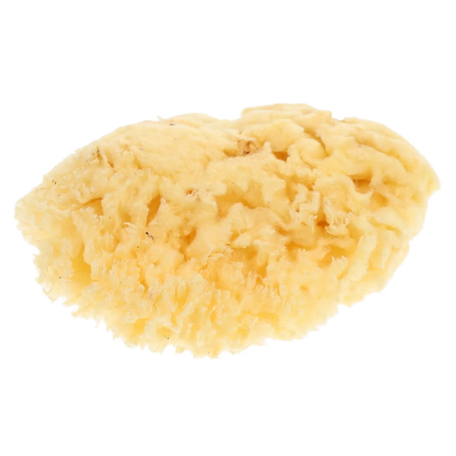 

2.0-2.5 Inch Natural Sponge for Watercolor Painting Sea Sponge Soft Absorbent Tool for Art DIY Texture Design Artists and