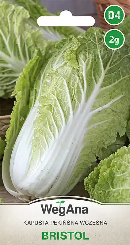 Beijing cabbage Bristol 2G VegAna vegetable cabbage seeds