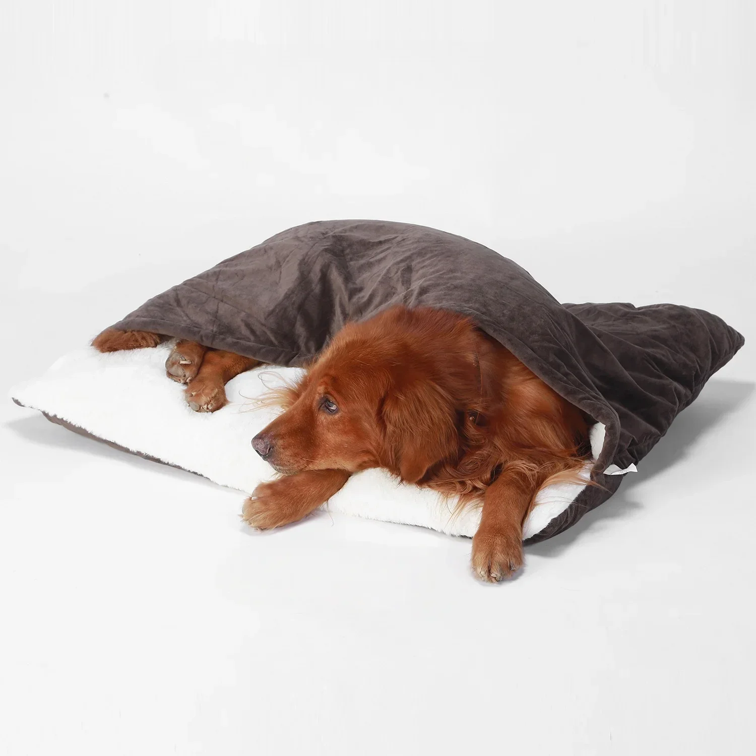 Thumbnail 2 - #9 Washable Dog Cushions Comparison Guide