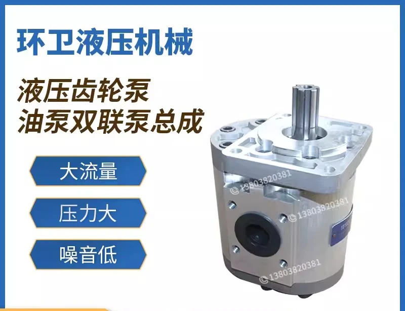 

Hydraulic gear pump Oil pump Double pump Daquan CBN-F532/CBW-F310/F563/F520 Adapted to long source