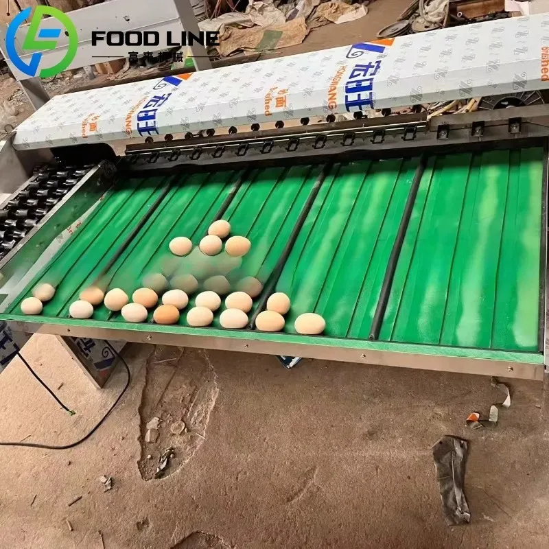 آلة تصنيف البيض الأوتوماتيكية، فارز الوزن والحجم التجاري لمزرعة الدواجن وأعمال تعبئة البيض