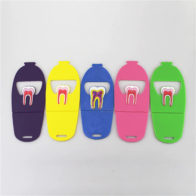 1pcs Dentist Gift Cute Card Holder For Dental Clinic Colorful Rubber Teeth Molar Shape Phone Card Name Storage Dsiaply Stand