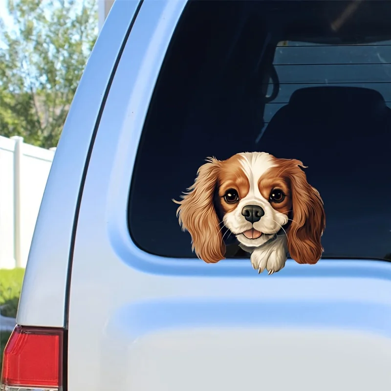 Pegatina para coche de perro Cavalier King Charles Spaniel, pegatina de vinilo autoadhesiva impermeable, cubierta para arañazos, decoración para motocicleta y coche, 1 ud.