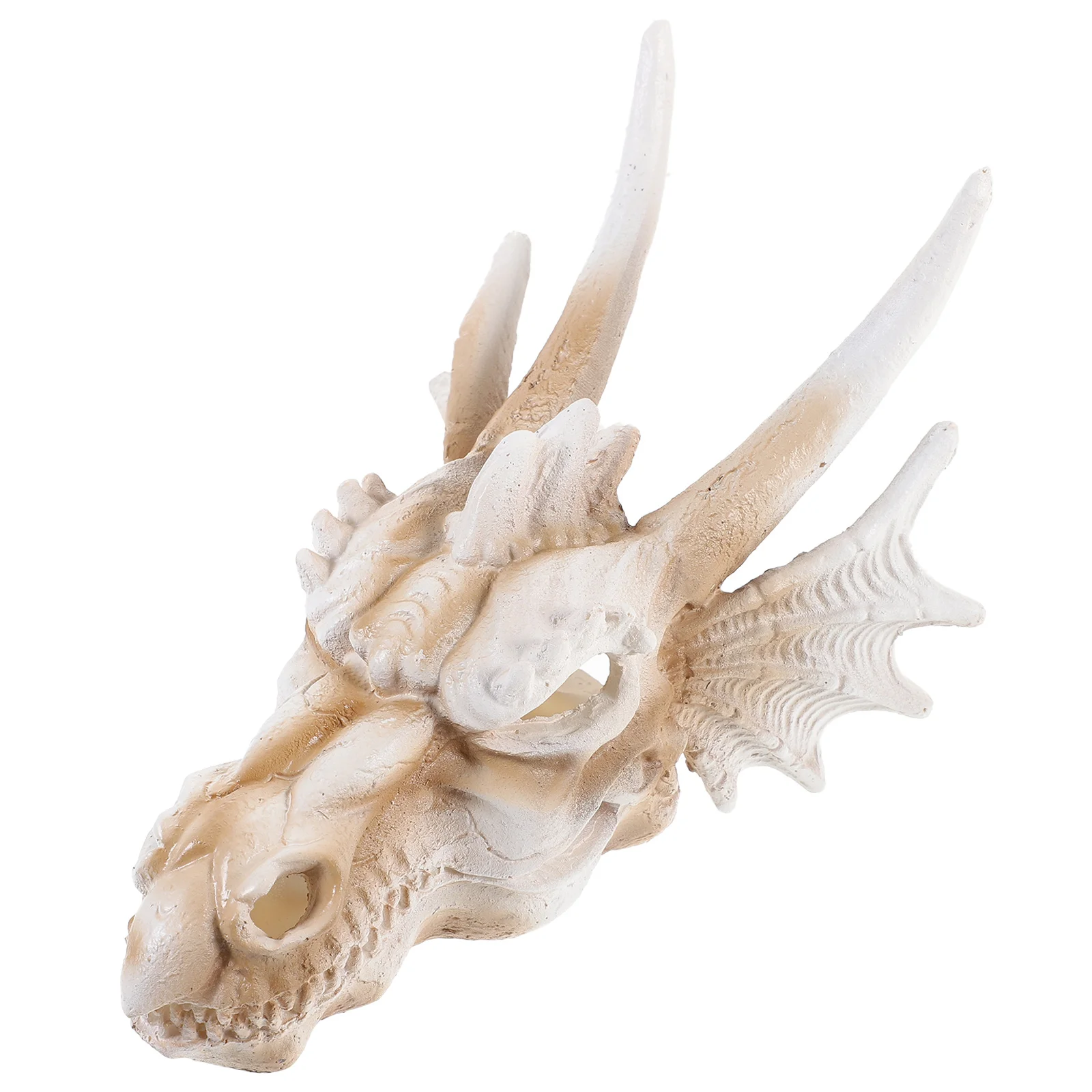

Elegant Dragon Skull Statue Resin Made Premium Finish Desktop Decor for Study Room Cafe Shop Window Display Decorative Item