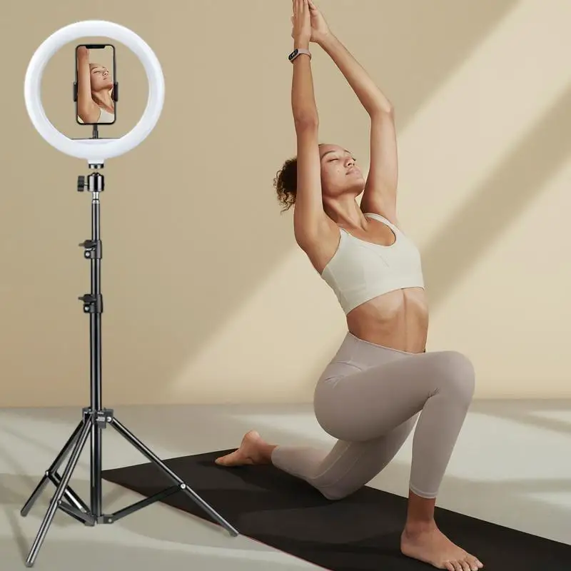 Selfie Ring Light 10 Inch Circle Light LED Selfie Ringlight Portable Ringlight Kit Bright And Stable LED Circle Adjustable Light