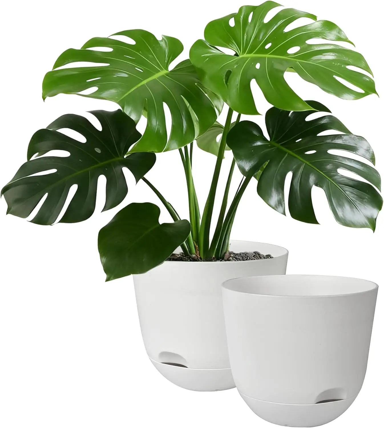 Plant Pots 10 Inch …