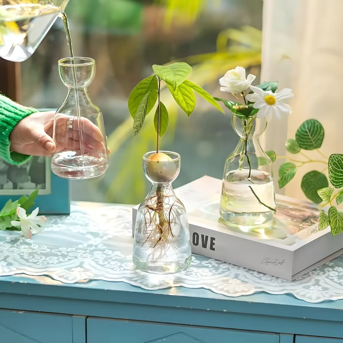 Avocado Growing Kit - Glass Seed Starter Vase for Gardening Lovers, Unique Hydroponic Planter Gift