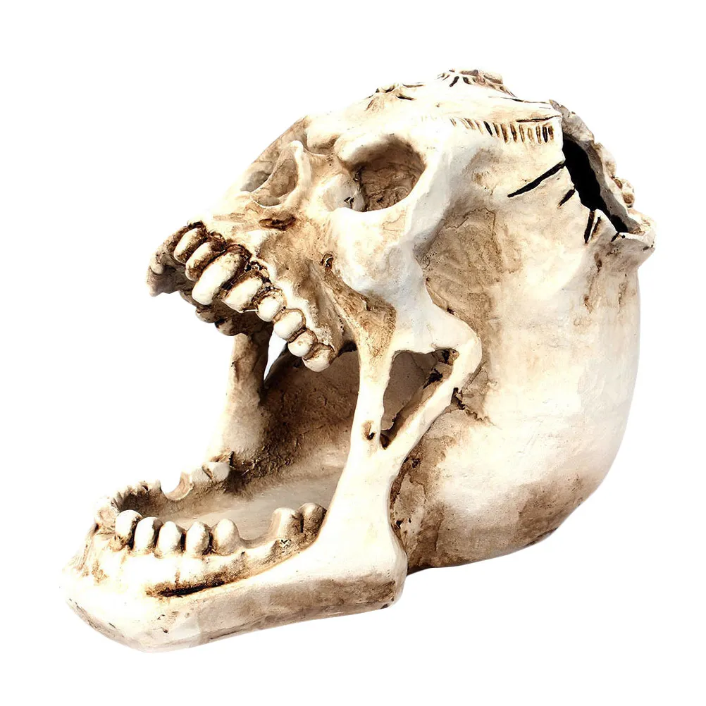 Skull Pen Holder Resin Pencil Desktop Organizer Stationery Box Makeup Brush Holder Gothic Decor for Office Study Halloween Gift