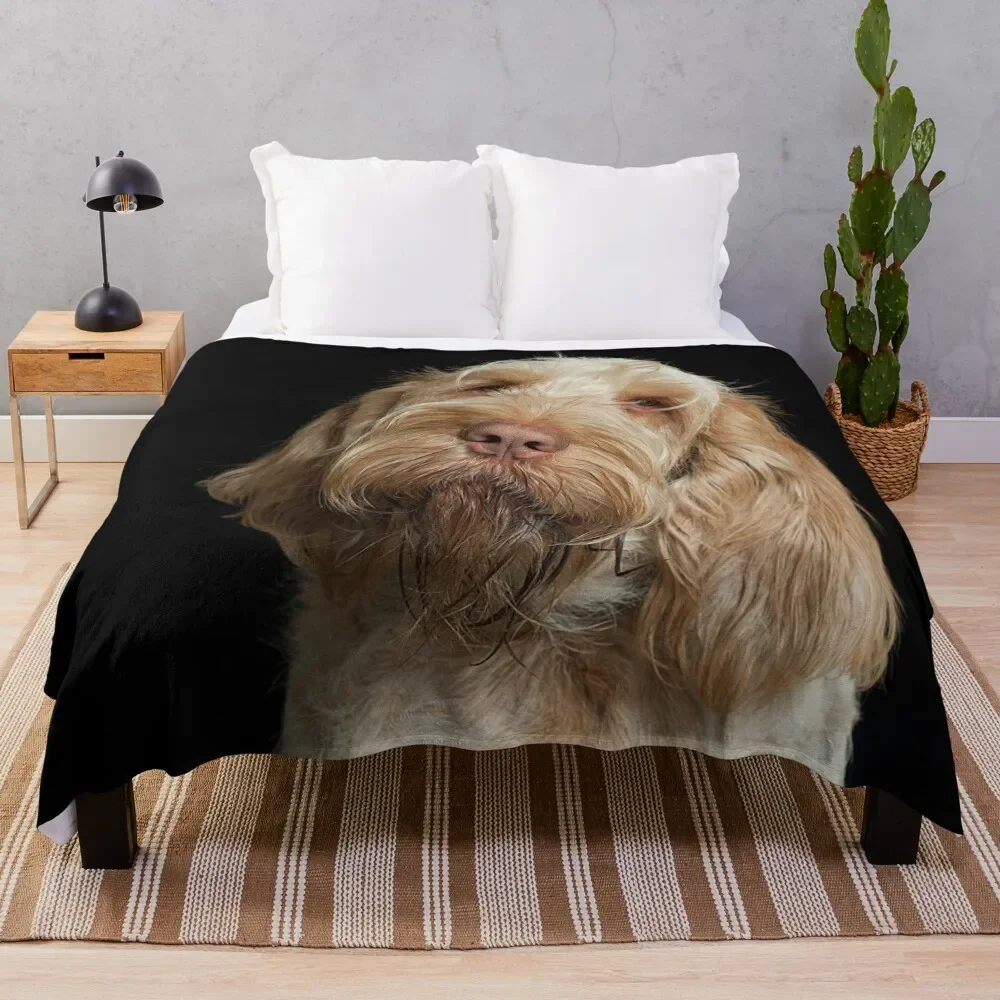 Head tilt Spinone Throw Blanket Custom Giant Sofa Furry Blankets