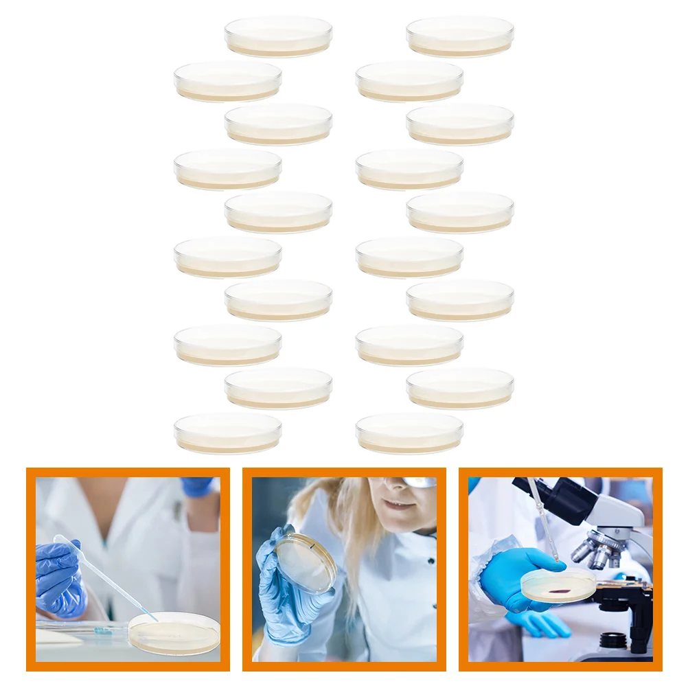 20 Pcs Nutrient Agar Plate Tissue Culture Plates for Science Experiment Cell Laboratory Accessory Baby