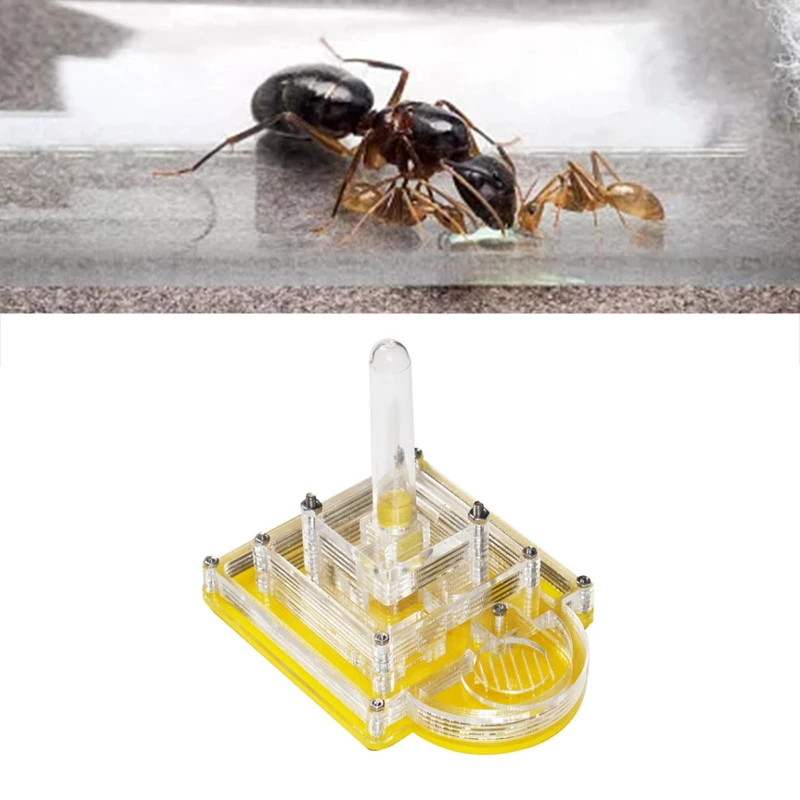 

Муравьиная ферма, муравьиное гнездо, среда обитания с экосистемой водонапорной башни, набор для изучения науки, детская игрушка