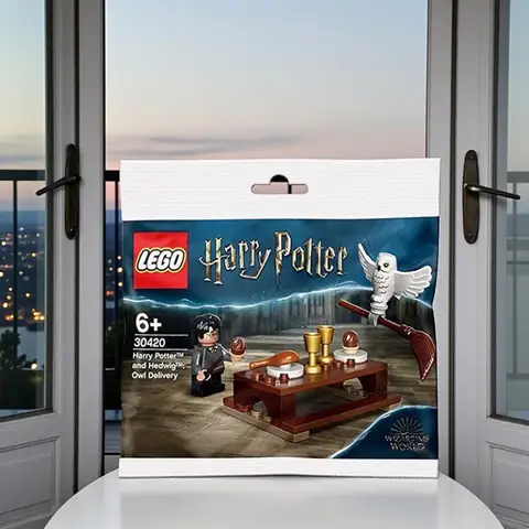 LEGO 30420 Harry Potter e Hedwig: Consegna gufo