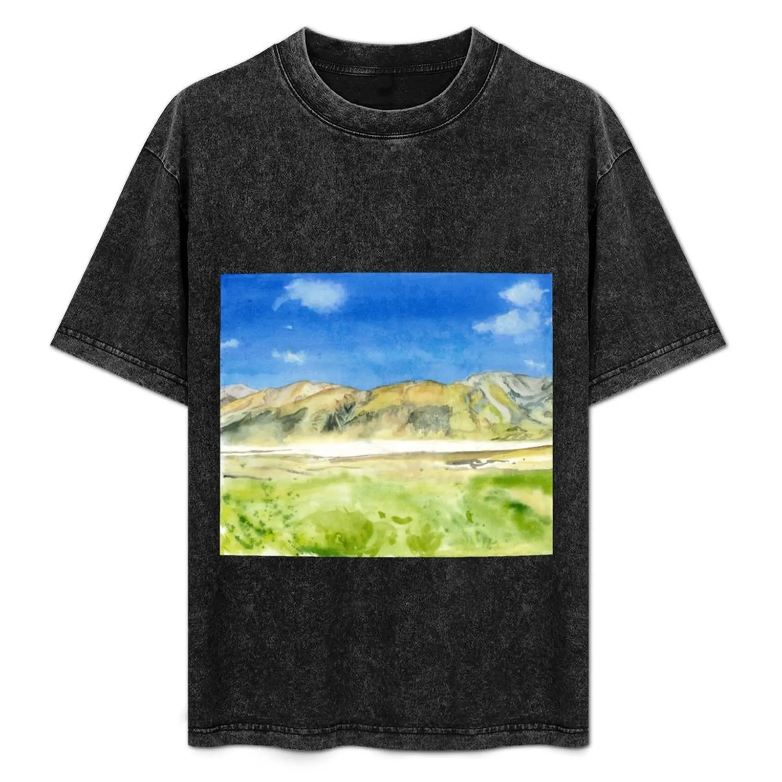

View of the Brabazon Range from Mount Sunday T-Shirt Summer Sports Quick Dry T-Shirt