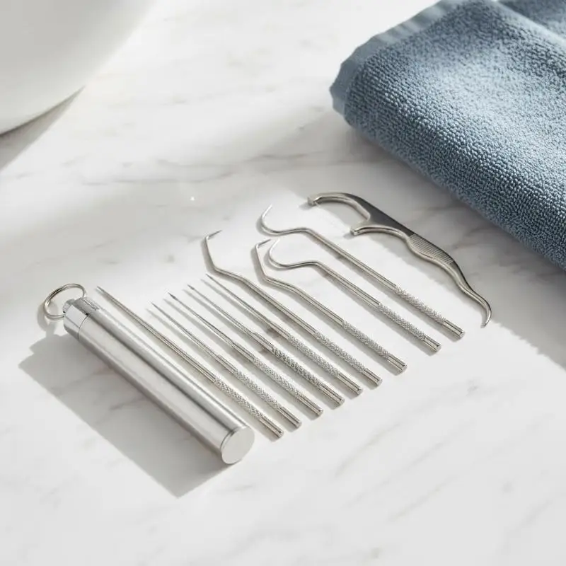 1 Set Portable Stainless Steel Toothpick Kit Reusable Non-toxic Metal Toothpicks with Floss for Office Daily Use