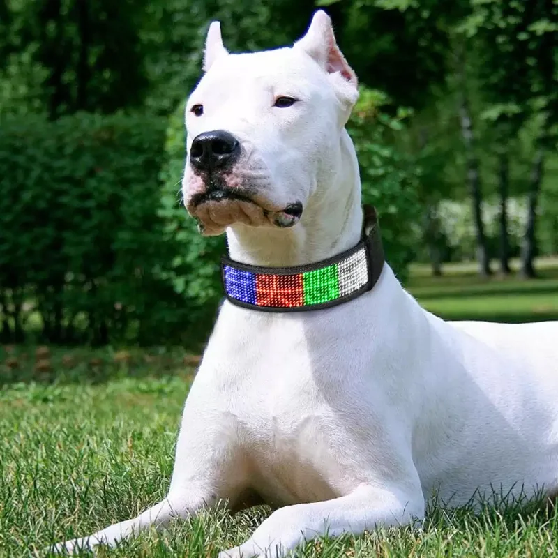 Everbright Store LED Dog Collar Luminous Collar Neck Ring Rechargeable Dog Babes Live Streaming Host Leg Rings Pet