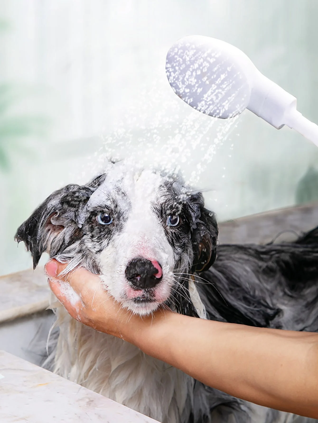 1 Stück – Wasserhahn, Shampoo, Dusche, Haustier-Katzen- und Hunde-Duscharmatur, Spray, Multifunktions-Wasserhahn, Duschdüse, einfach zu installieren