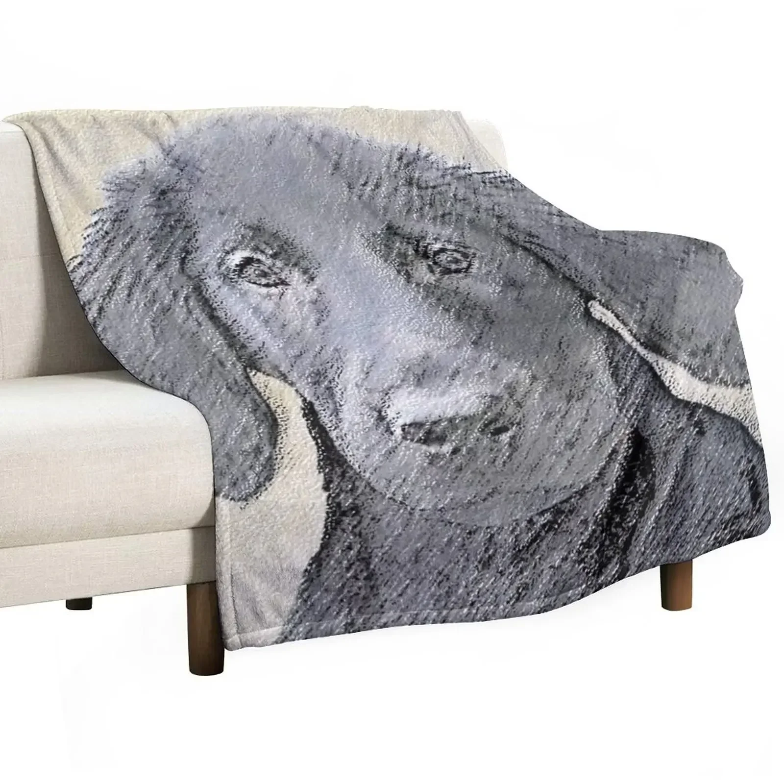 

Flat-Coated Retriever Throw Blanket Bed Fashionable Single Blankets