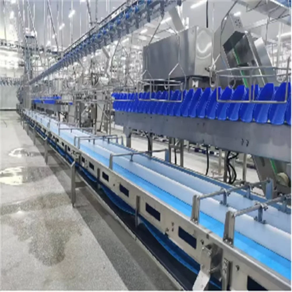 Continuously Customizable Sorting Table, Industrial Fruit and Vegetable Classification and Sorting machine