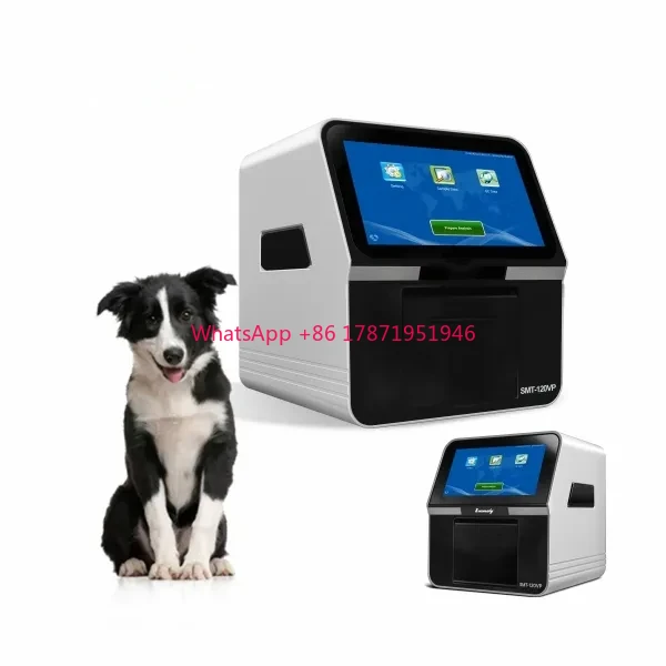 CHINA Fully Automatic Biochemistry Analyzer health check bold gas dry chemistry poct analyzer for veterinary