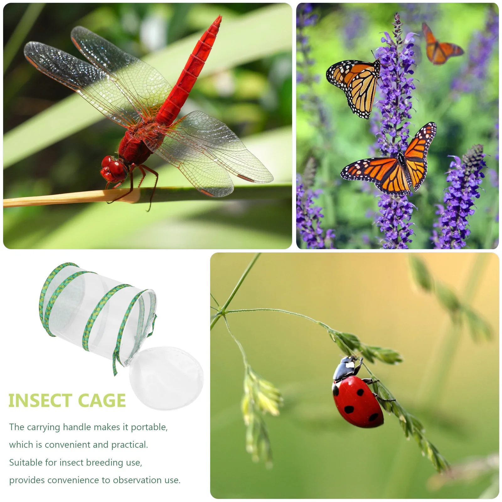 

Breathable Insect Terrarium Child Foldable Cage Polyester Cloth Butterfly Habitation